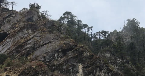 Soft mist drifts through the lush hills of Meghalaya Stock Footage 335519345