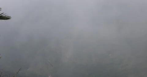 Soft mist drifts through the lush hills of Meghalaya Vídeo Stock 335528529