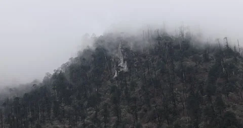 Soft mist drifts through the lush hills of Meghalaya Stock Footage 335531343