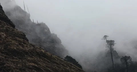 Soft mist drifts through the lush hills of Meghalaya Video stock 335531472