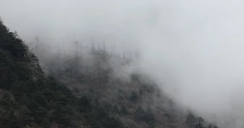 Soft mist drifts through the lush hills of Meghalaya Stock Footage 335531932