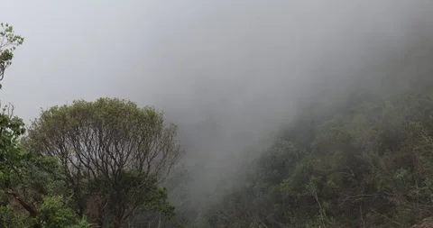 Soft mist drifts through the lush hills of Meghalaya Vídeo Stock 335560007