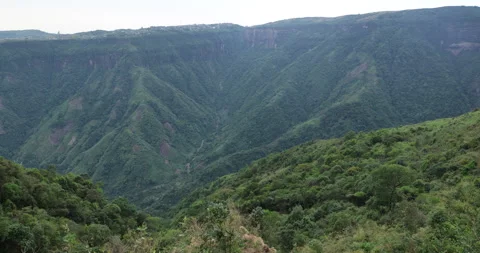 Soft mist drifts through the lush hills of Meghalaya Stock Footage 335561720