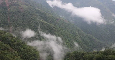 Soft mist drifts through the lush hills of Meghalaya Vídeo Stock 335567624