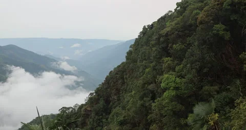 Soft mist drifts through the lush hills of Meghalaya Stockbeeldmateriaal 335587347