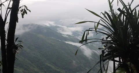 Soft mist drifts through the lush hills of Meghalaya Stockbeeldmateriaal 335608964