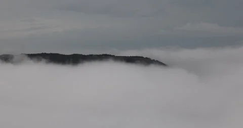 Soft mist drifts through the lush hills of Meghalaya Видео 335608971