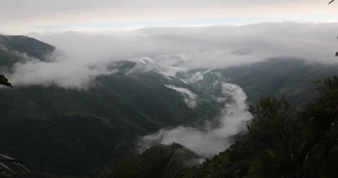 Soft mist drifts through the lush hills of Meghalaya 库存影片 335609381