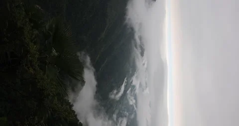 Soft mist drifts through the lush hills of Meghalaya 库存影片 335609408