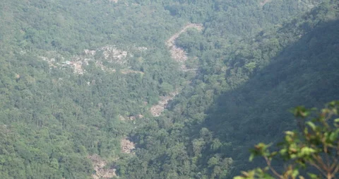 Soft mist drifts through the lush hills of Meghalaya Vidéo 335614610