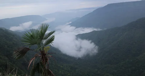 Soft mist drifts through the lush hills of Meghalaya Vidéo 335617086
