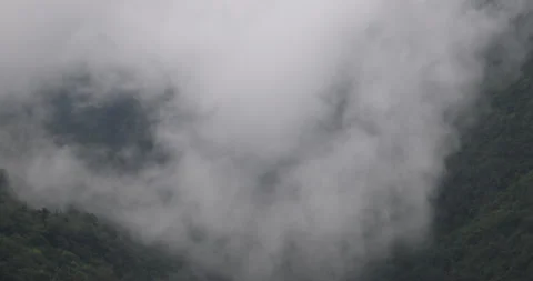 Soft mist drifts through the lush hills of Meghalaya Vídeos de archivo 335617743