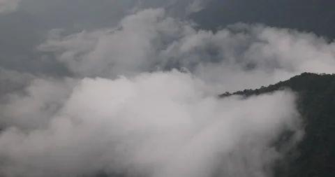 Soft mist drifts through the lush hills of Meghalaya 動画素材 335618026