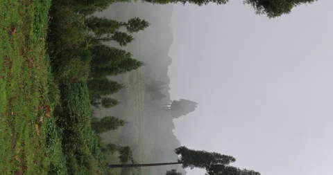 Soft mist drifts through the lush hills of Meghalaya 库存影片 335648919
