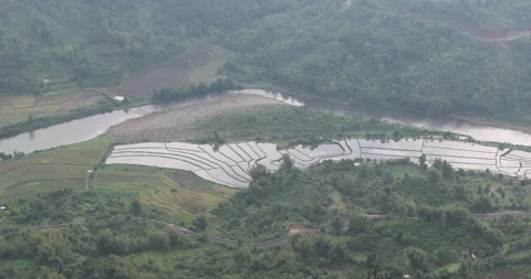 Soft mist drifts through the lush hills of Meghalaya Stock Footage 335668426