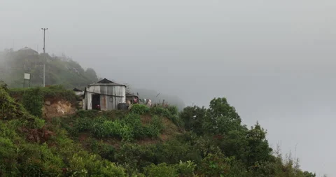 Soft mist drifts through the lush hills of Meghalaya 動画素材 335668427