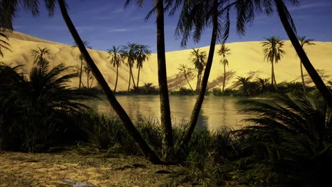 Soft morning light over hills. Gentle sunrise illuminates sandy and watery areas Stock Footage 339801101