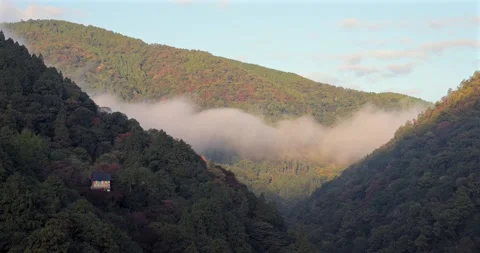 Soft morning mist moves through Kyoto Arashiyama with hut below colored slopes Stock Footage 323912669