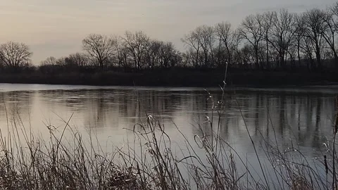 Soft morning river scene with grasses and distant tree line Stock Footage 331322375
