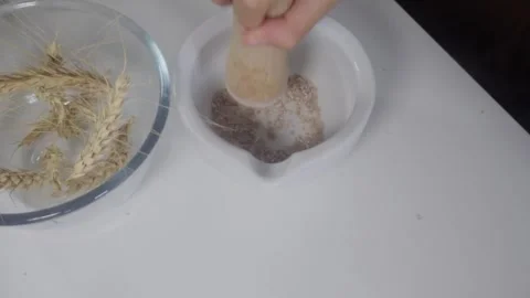 Soft Motion Blur Top Down Background Shot of Grinding Wheat Grains with Pestle Stock Footage 342106447