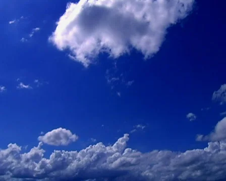 Soft Moves 1 of 2 Video stock 104358