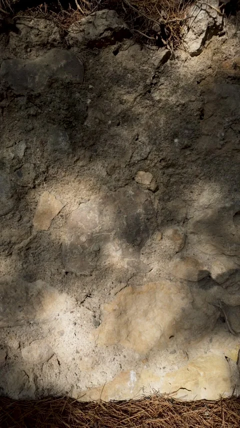 Soft moving shadows of tree leaves on an ancient stone wall Stock Footage 344803408