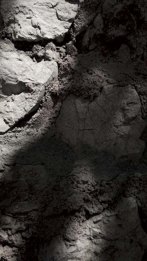 Soft moving shadows of tree leaves on an ancient stone wall Stock Footage 345152960