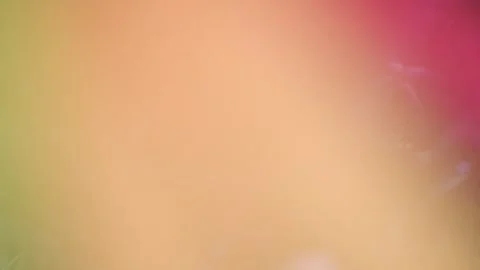 Soft Multicolor Background Stock Footage 115278786