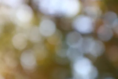 Soft natural bokeh light effect creating an abstract muted background texture Stock Photos