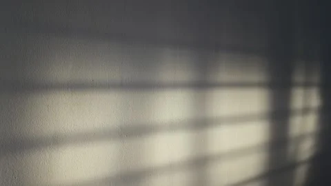 Soft natural sunlight casts across a textured interior wall Stock Footage 339122618