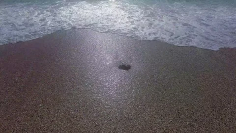 Soft Ocean Wave Foam Lapping on Sandy Beach Shore Stock Footage 326305632