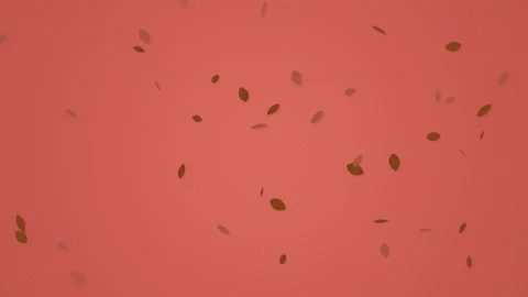 Soft orange abstract background texture seamless loop for minimal design Stock Footage 344515911