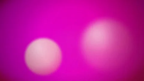 Soft out focus bokeh lights seamless loop background Stock Footage 343628194
