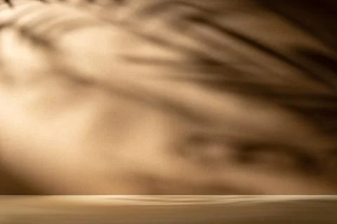 Soft palm leaf shadow on warm brown background with elegant light play. Minim Stock Photos