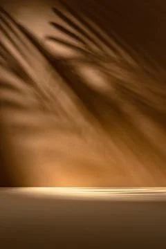Soft palm leaf shadow on warm brown background with elegant light play. Minim Stock Photos