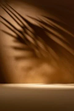 Soft palm leaf shadow on warm brown background with elegant light play. Minim Stock Photos