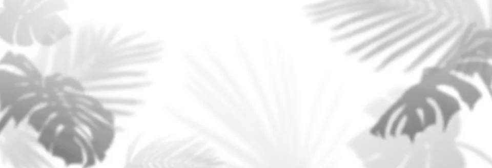 Soft palm shadow overlay on white background Stock Illustration
