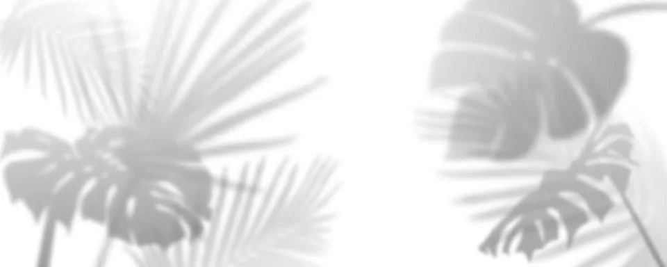 Soft palm shadow overlay on white background Stock Illustration