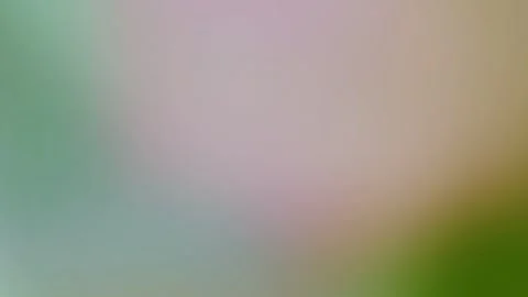 Soft Pastel Abstract Gradient Background Blur 動画素材 333080658