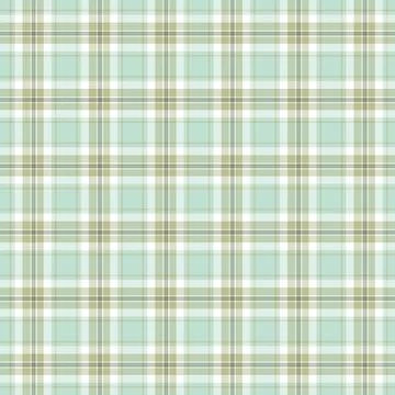 Soft Pastel Mint Tartan Check Fabric Texture Background イラスト素材