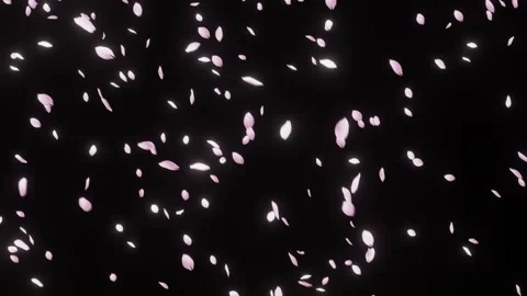 Soft Pastel Pink Sakura Petals for Dreamy Overlay 스톡 동영상 326194792