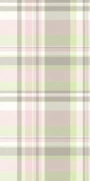 Soft pastel plaid pattern.  Perfect for textile design, fashion, home dcor, o Stock Illustration