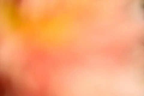 Soft Peach Orange Abstract Background with Warm Glow Stock Photos
