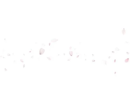 Soft Petal Confetti Vector Background For Wedding Invitations Or Cards Stock-Illustration