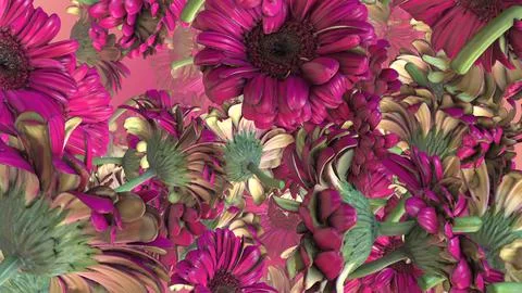 Soft Petaled Gerbera on Calm Surface Stock Illustration