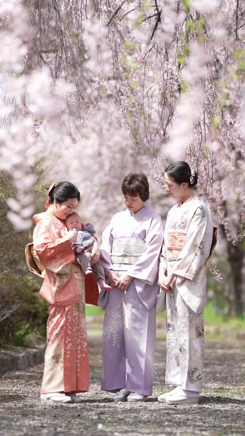 Soft petals drift around three women in kimono Stock Footage 341081263