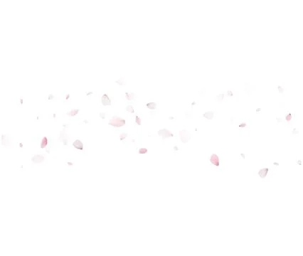 Soft Petals Floating On White Vector For Skincare Beauty And Spa Design Stock Illustration