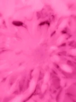 Soft pink abstract macro texture spider flower blurred pastel background Stock Photos
