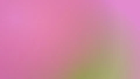 Soft pink and green gradient background with subtle mesh texture and modern.. Stock Illustration