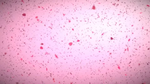 Soft pink animated background with floating pink hearts Stock Footage 346020708
